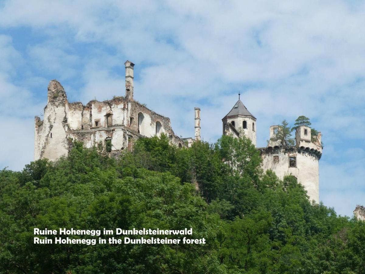 Gaestehaus Am Weinberg - Schlager Prinzersdorf Bagian luar foto